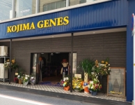 児島ジーンズ本店